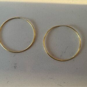 Elegant Gold Hoop Earring
